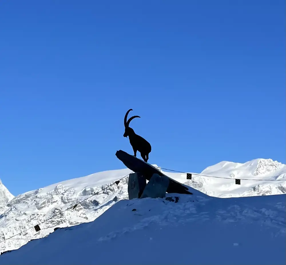 Auron (2)